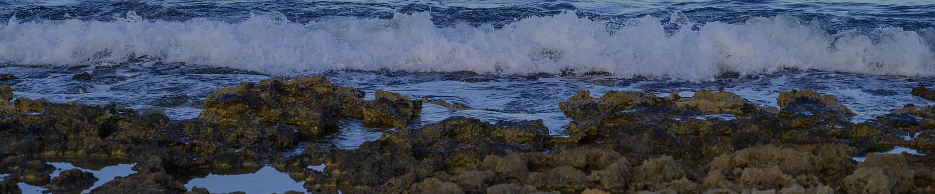 onde del mare